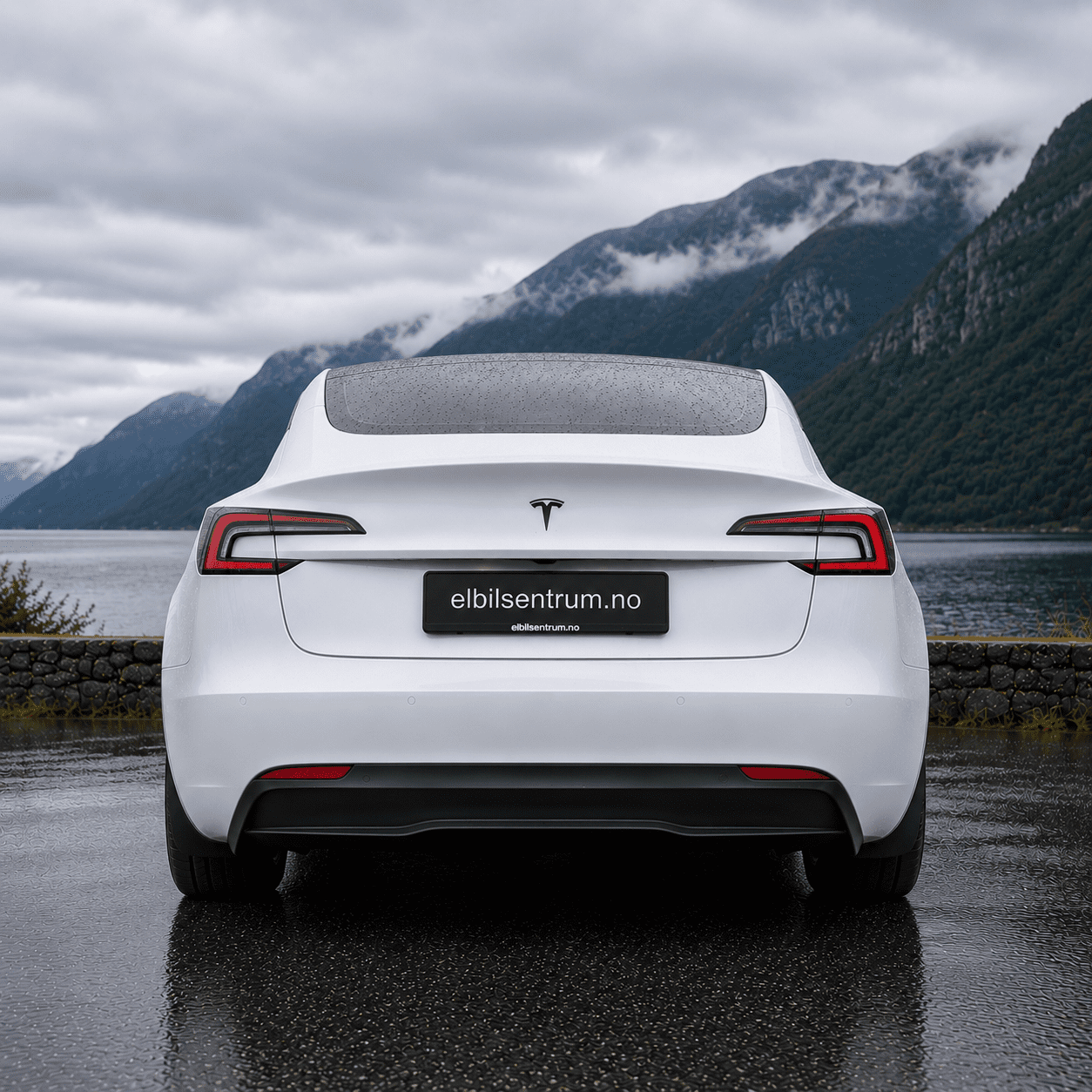 Skvettlapper Model 3 Highland (2023+) - Bilde 3