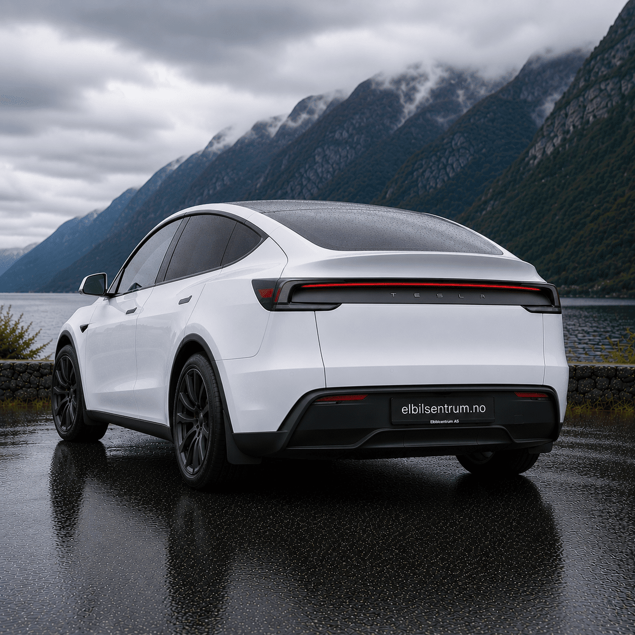 Skvettlapper Tesla Model Y Juniper - Bilde 2