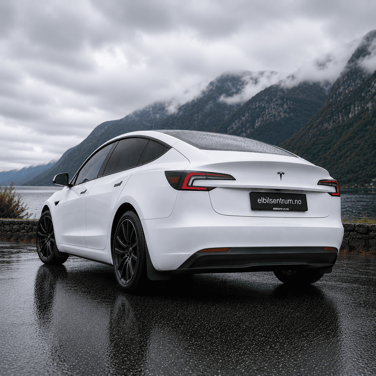 Skvettlapper Model 3 Highland (2023+) - Bilde 2